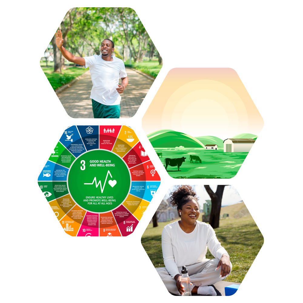 sdg goal